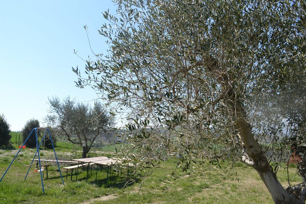 Agriturismo Il Merollo Hotel Тоди Екстериор снимка