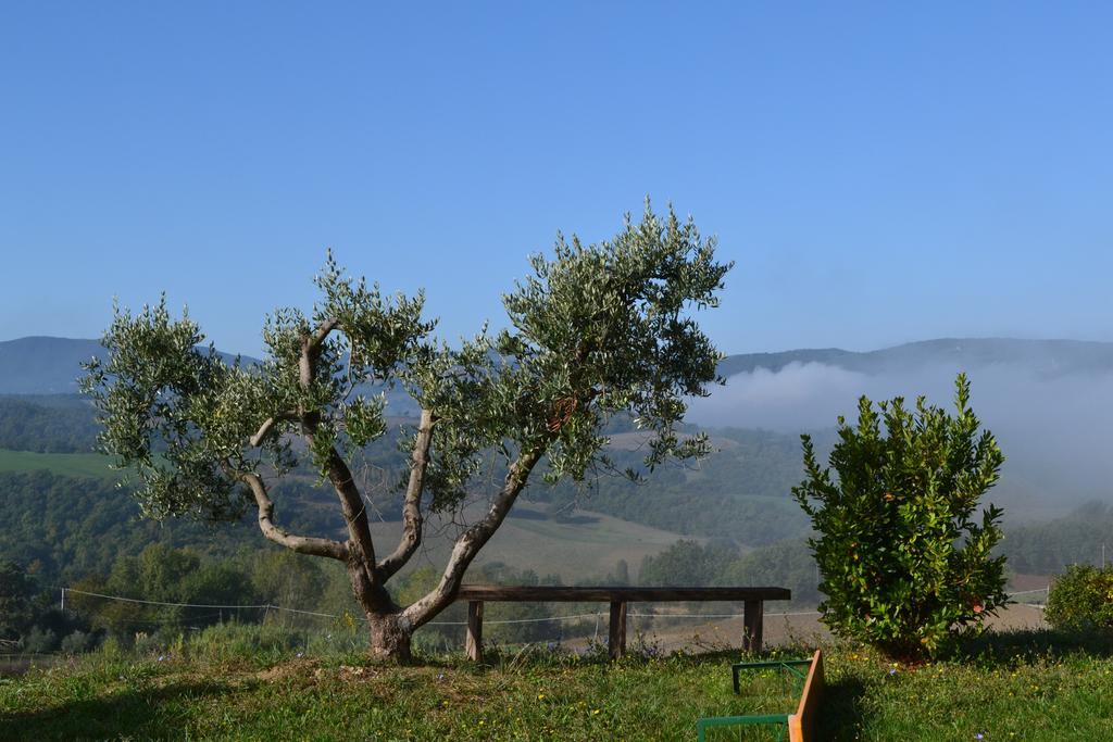 Agriturismo Il Merollo Hotel Тоди Екстериор снимка